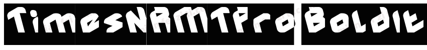 TimesNRMTPro BoldItalic(OTF)字体转换